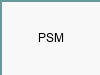 PSM TECHNOLOGIES INC